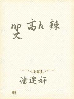 np 高h 辣文