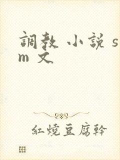 调教 小说 sm 文封面