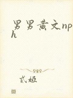 男男黄文np高h封面