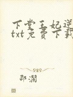 下堂王妃逆袭记txt免费下载