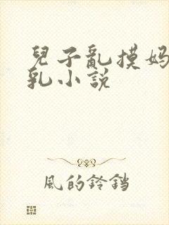 儿子乱摸妈妈大乳小说