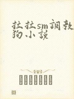 拉拉sm调教母狗小说封面