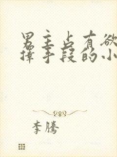 男主占有欲强不择手段的小说