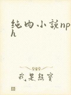 纯肉小说np高h