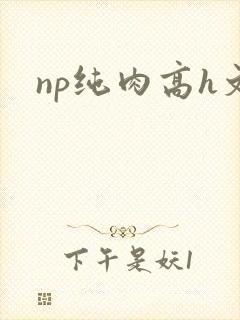 np纯肉高h文