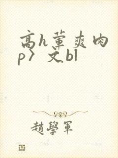 高h荤爽肉〈np〉文bl
