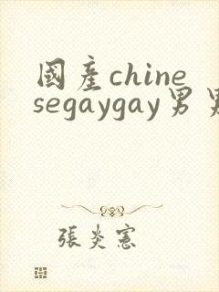 国产chinesegaygay男男网站