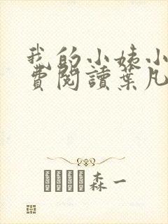 我的小姨小说免费阅读叶凡