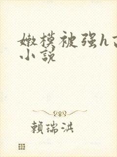 嫩模被强h高h小说封面