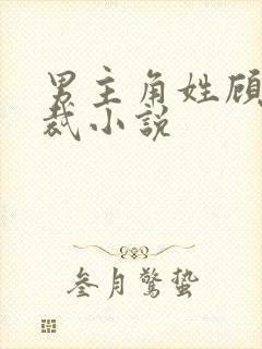 男主角姓顾的总裁小说