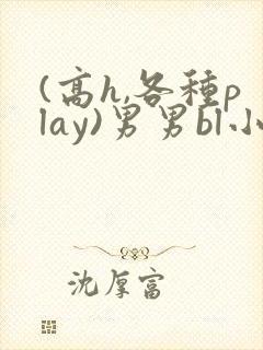 (高h,各种play)男男bl小说