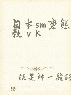 日本sm变态调教ⅴk