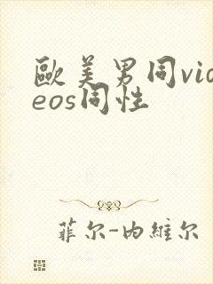 欧美男同videos同性