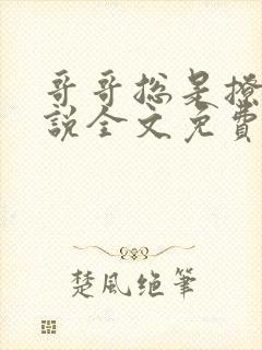 哥哥总是撩我小说全文免费阅读