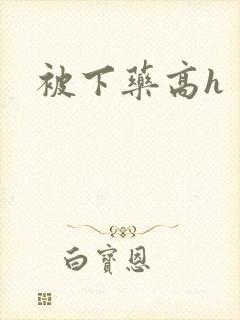 被下药高h