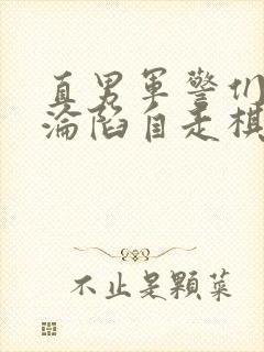 直男军警们肉欲沦陷自走棋