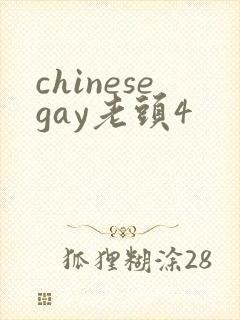 chinesegay老头4