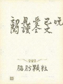 初见爱已晚免费阅读全文封面