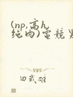(np,高h,纯肉)电竞男男