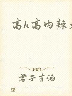 高h高肉辣文