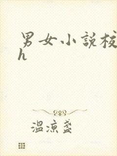 男女小说校园高h封面