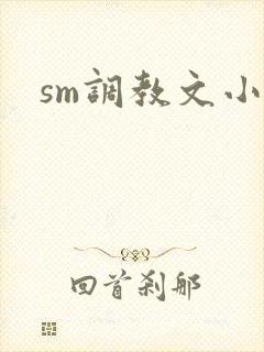 sm调教文小说