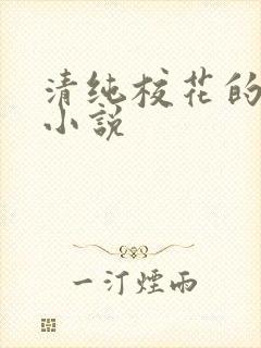 清纯校花的日常小说