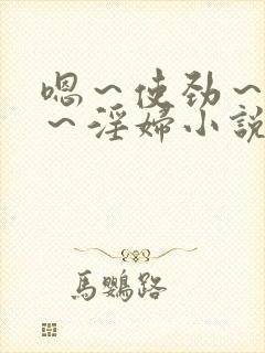 嗯～使劲～别停～淫妇小说封面