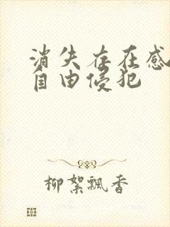 消失存在感消失自由侵犯