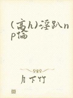 (高h)淫趴np伦