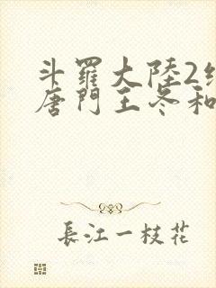 斗罗大陆2绝世唐门王冬和霍雨浩