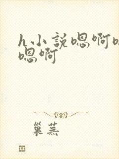 h小说嗯啊嗯啊嗯啊