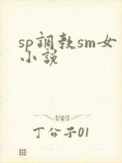 sp调教sm女小说封面