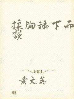 揉胸舔下面的小说