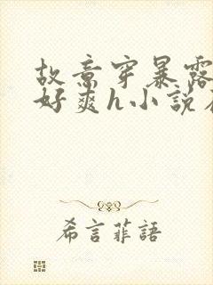 故意穿暴露被强好爽h小说在线看