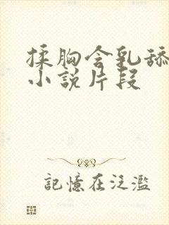 揉胸含乳舔下面小说片段