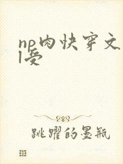 np肉快穿文bl受封面