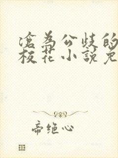 沧为公歧的清纯校花小说免费封面