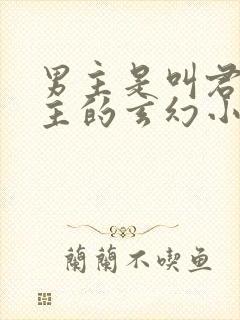 男主是叫君家少主的玄幻小说