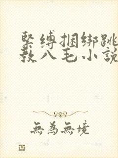 紧缚捆绑跳蛋调教八毛小说