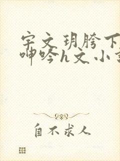 宇文玥胯下娇喘呻吟h文小说