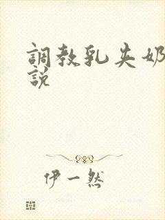 调教乳夹奶头小说封面