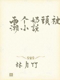 两个奶头被捏高潮小说封面