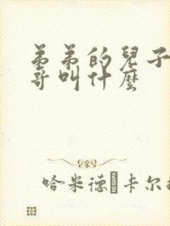 弟弟的儿子叫哥哥叫什么