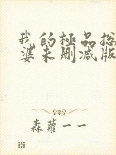 我的极品总裁老婆未删减版网络短片封面