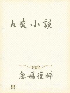 h爽小说
