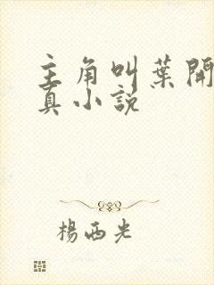 主角叫叶开的修真小说