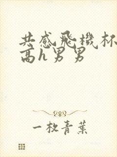 共感飞机杯嗯啊高h男男