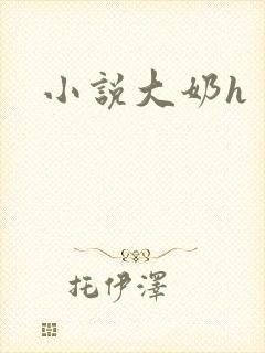小说大奶h