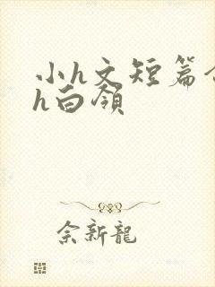 小h文短篇合集h白领封面